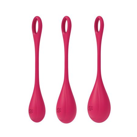 Satisfyer Yoni Power 1 Balls Training Set